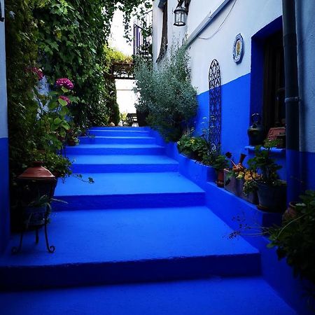 Penzion La Seguiriya Alhama de Granada Exteriér fotografie